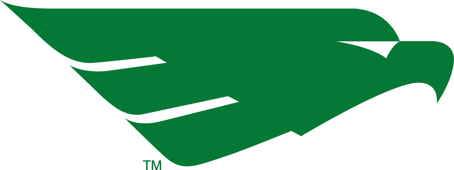 North Texas Mean Green 2005-2011 Secondary Logo DIY iron on transfer (heat transfer)